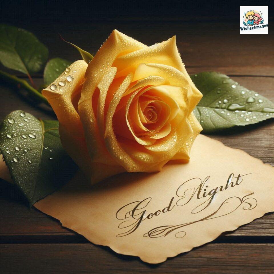 90+ Rose Good Night Images HD- Free Download 96 good night rose flower images rose good night images hd ()
