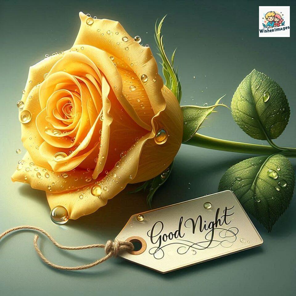 90+ Rose Good Night Images HD- Free Download 33 good night rose flower images rose good night images hd ()