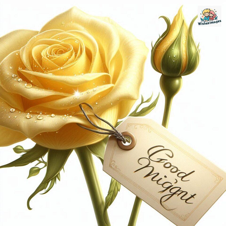 90+ Rose Good Night Images HD- Free Download 35 good night rose flower images rose good night images hd ()