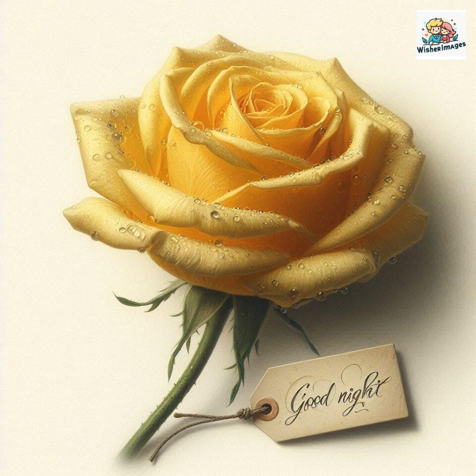 90+ Rose Good Night Images HD- Free Download 34 good night rose flower images rose good night images hd ()
