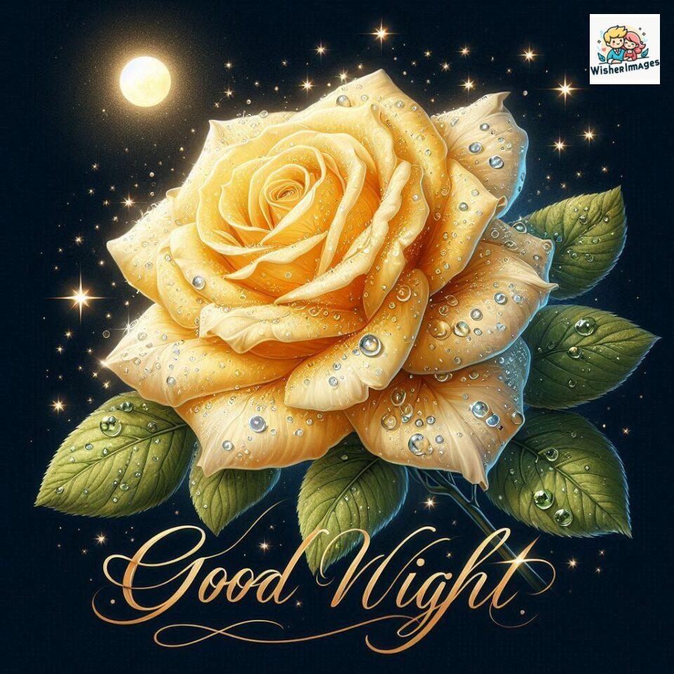 90+ Rose Good Night Images HD- Free Download 98 good night rose flower images rose good night images hd ()
