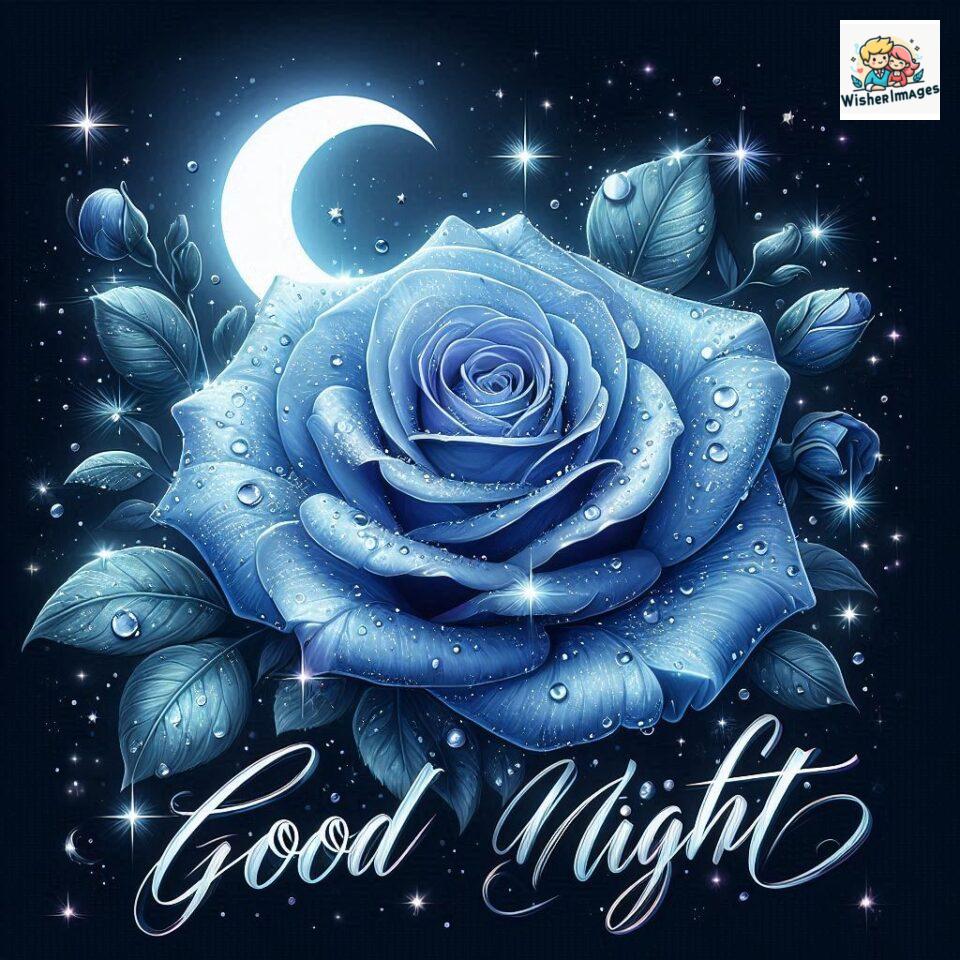 90+ Rose Good Night Images HD- Free Download 17 good night rose flower images rose good night images hd ()