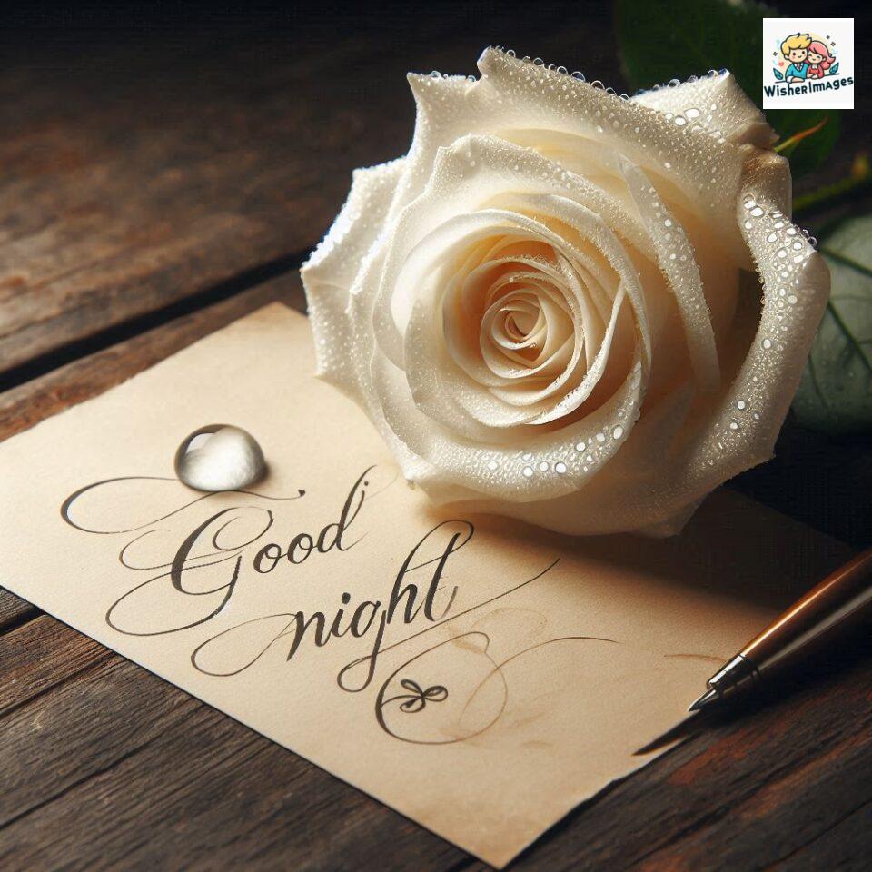 90+ Rose Good Night Images HD- Free Download 64 good night rose flower images rose good night images hd ()