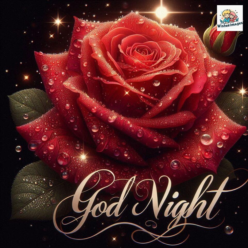 90+ Rose Good Night Images HD- Free Download 46 good night rose flower images rose good night images hd ()