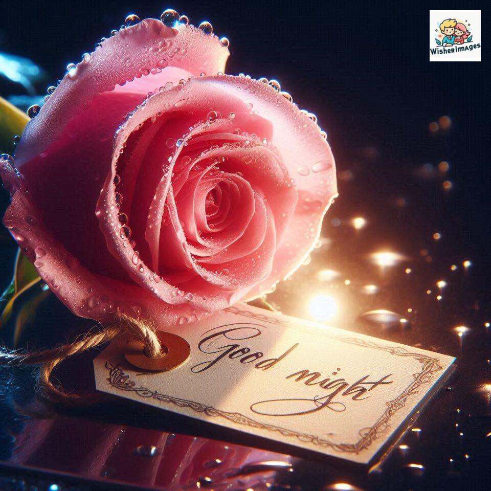 good night rose flower images rose good night images hd ()