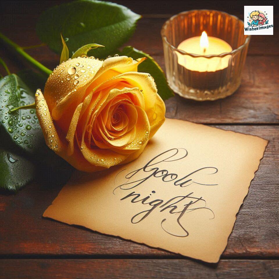 90+ Rose Good Night Images HD- Free Download 94 good night rose flower images rose good night images hd ()