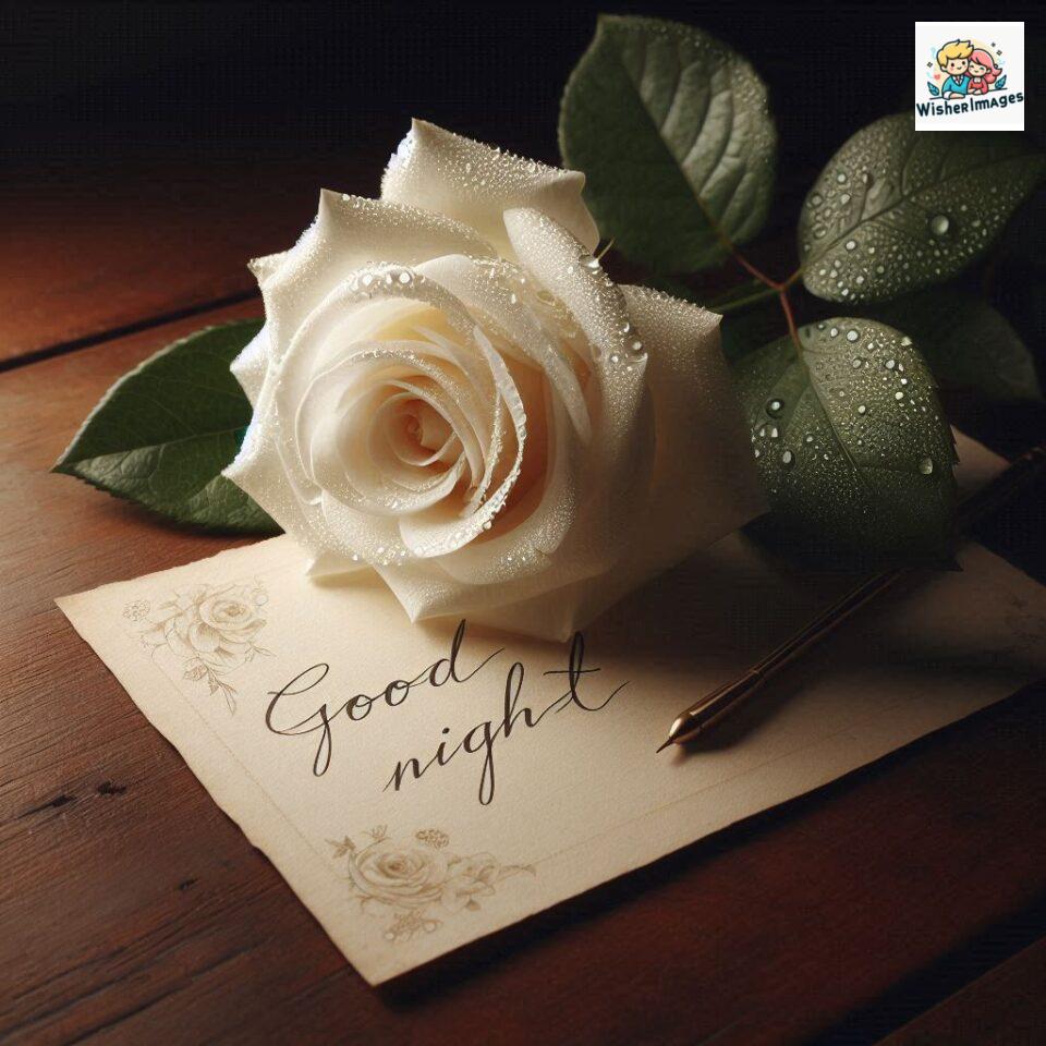 90+ Rose Good Night Images HD- Free Download 57 good night rose flower images rose good night images hd ()