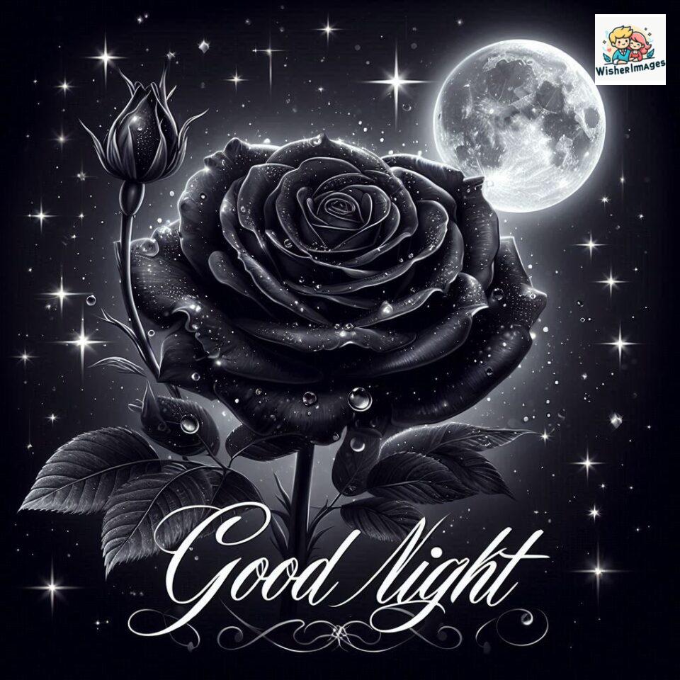 90+ Rose Good Night Images HD- Free Download 2 good night rose flower images rose good night images hd ()