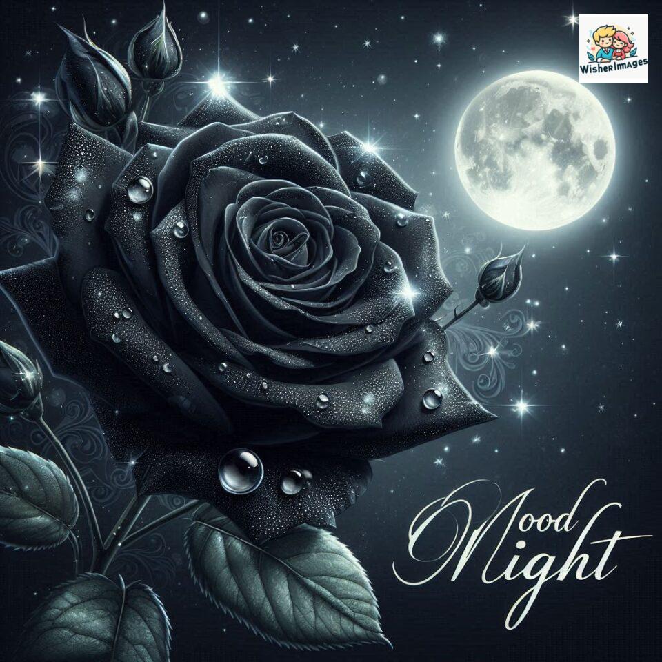 90+ Rose Good Night Images HD- Free Download 9 good night rose flower images rose good night images hd ()