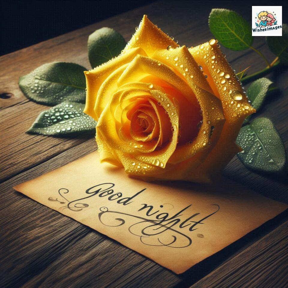 90+ Rose Good Night Images HD- Free Download 79 good night rose flower images rose good night images hd ()