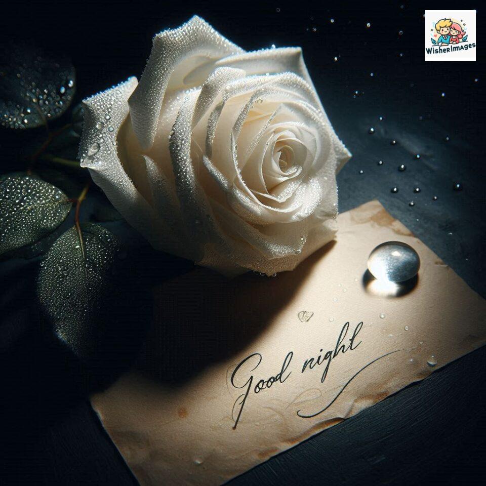 90+ Rose Good Night Images HD- Free Download 75 good night rose flower images rose good night images hd ()