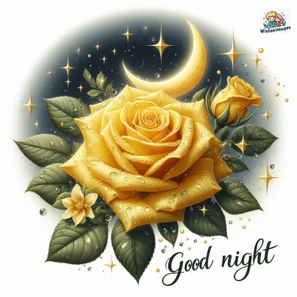 90+ Rose Good Night Images HD- Free Download 81 good night rose flower images rose good night images hd ()