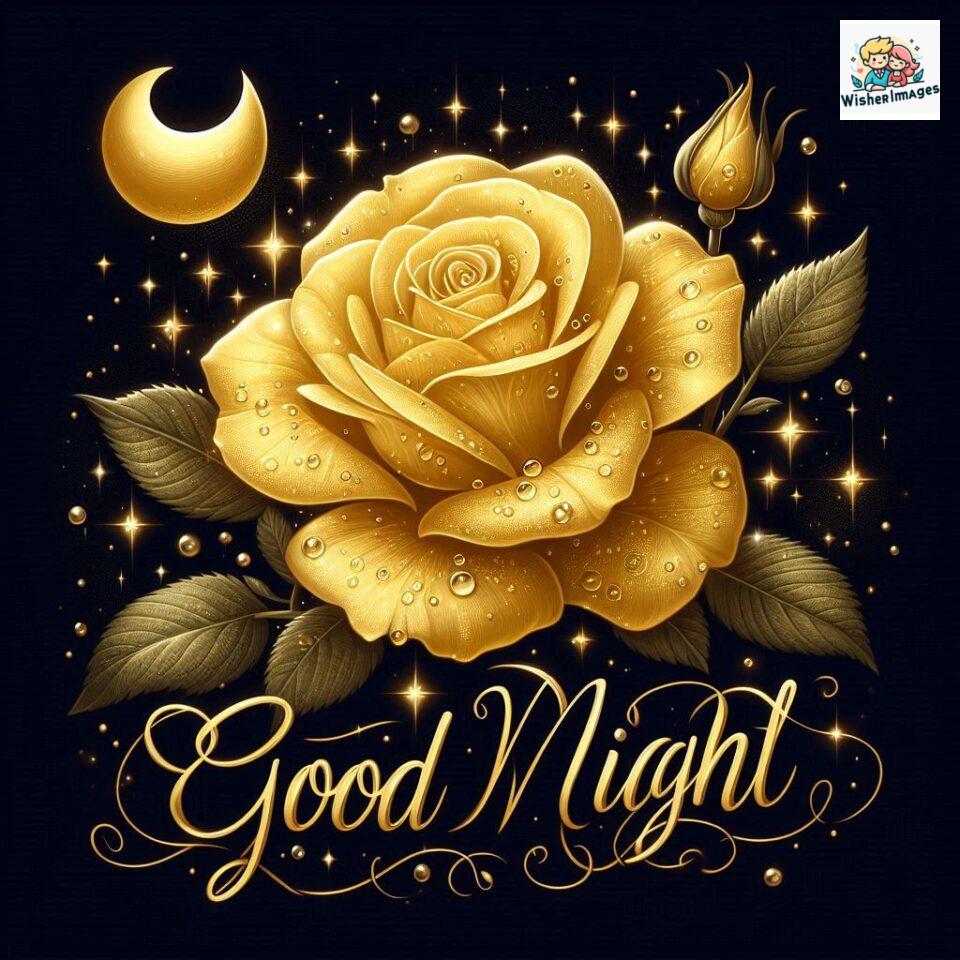 90+ Rose Good Night Images HD- Free Download 87 good night rose flower images rose good night images hd ()