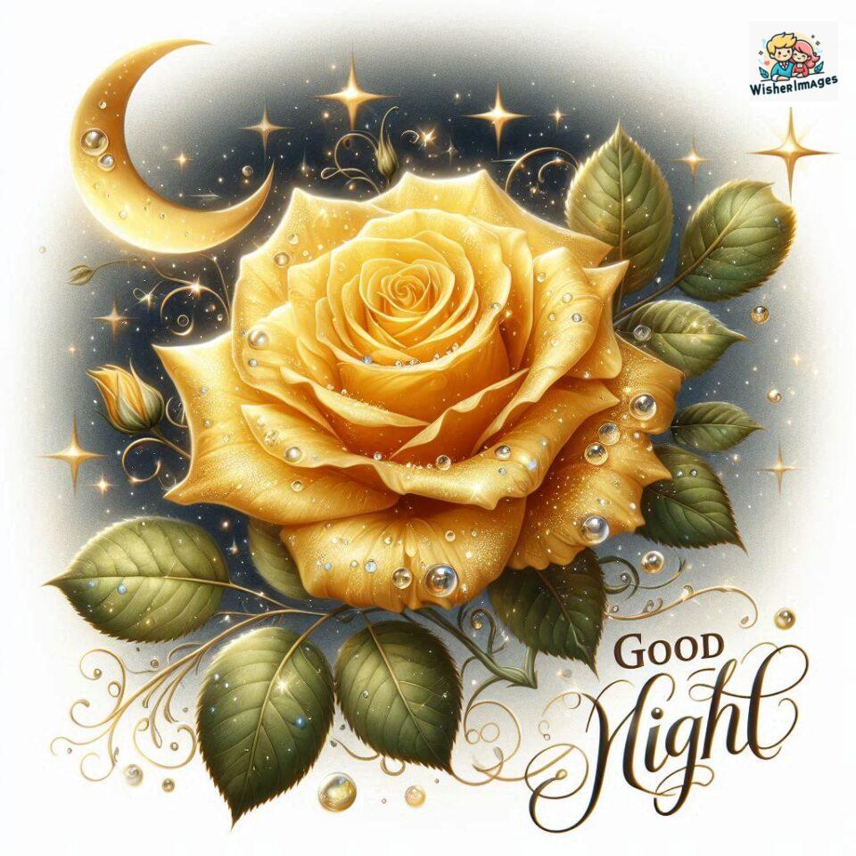 90+ Rose Good Night Images HD- Free Download 91 good night rose flower images rose good night images hd ()