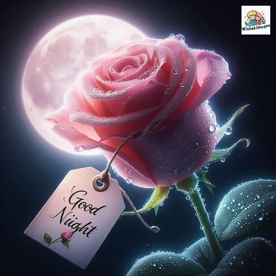 good night rose flower images rose good night images hd ()