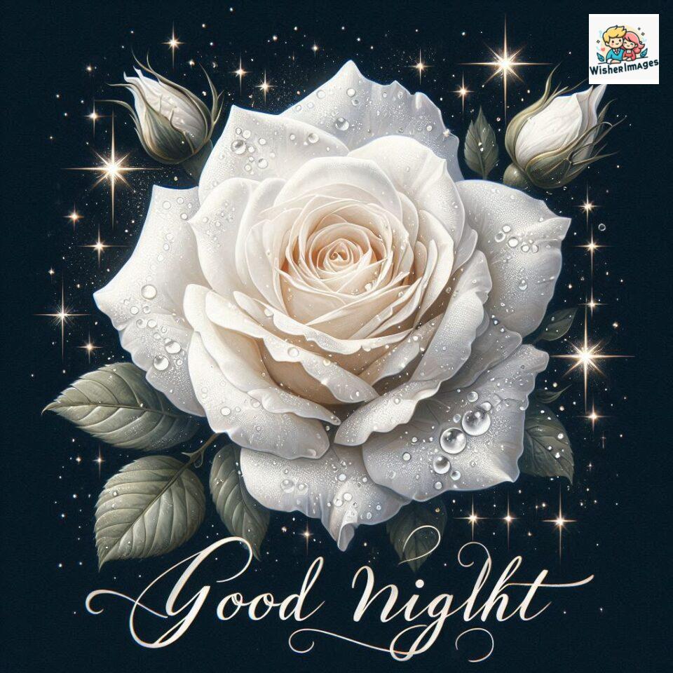 90+ Rose Good Night Images HD- Free Download 66 good night rose flower images rose good night images hd ()
