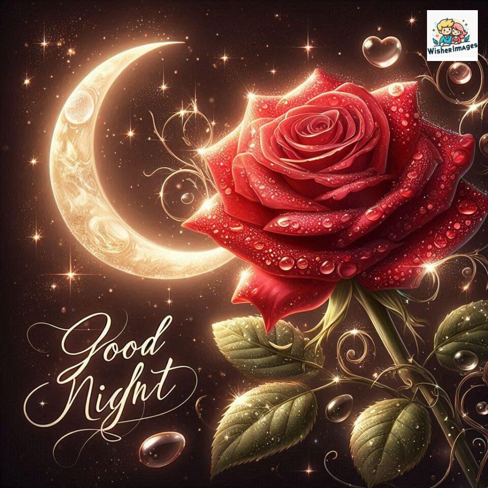 90+ Rose Good Night Images HD- Free Download 54 good night rose flower images rose good night images hd ()