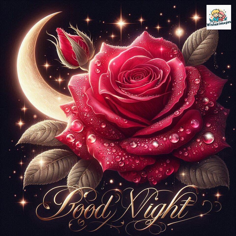 90+ Rose Good Night Images HD- Free Download 55 good night rose flower images rose good night images hd ()
