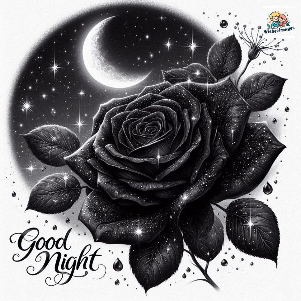 90+ Rose Good Night Images HD- Free Download 8 good night rose flower images rose good night images hd ()