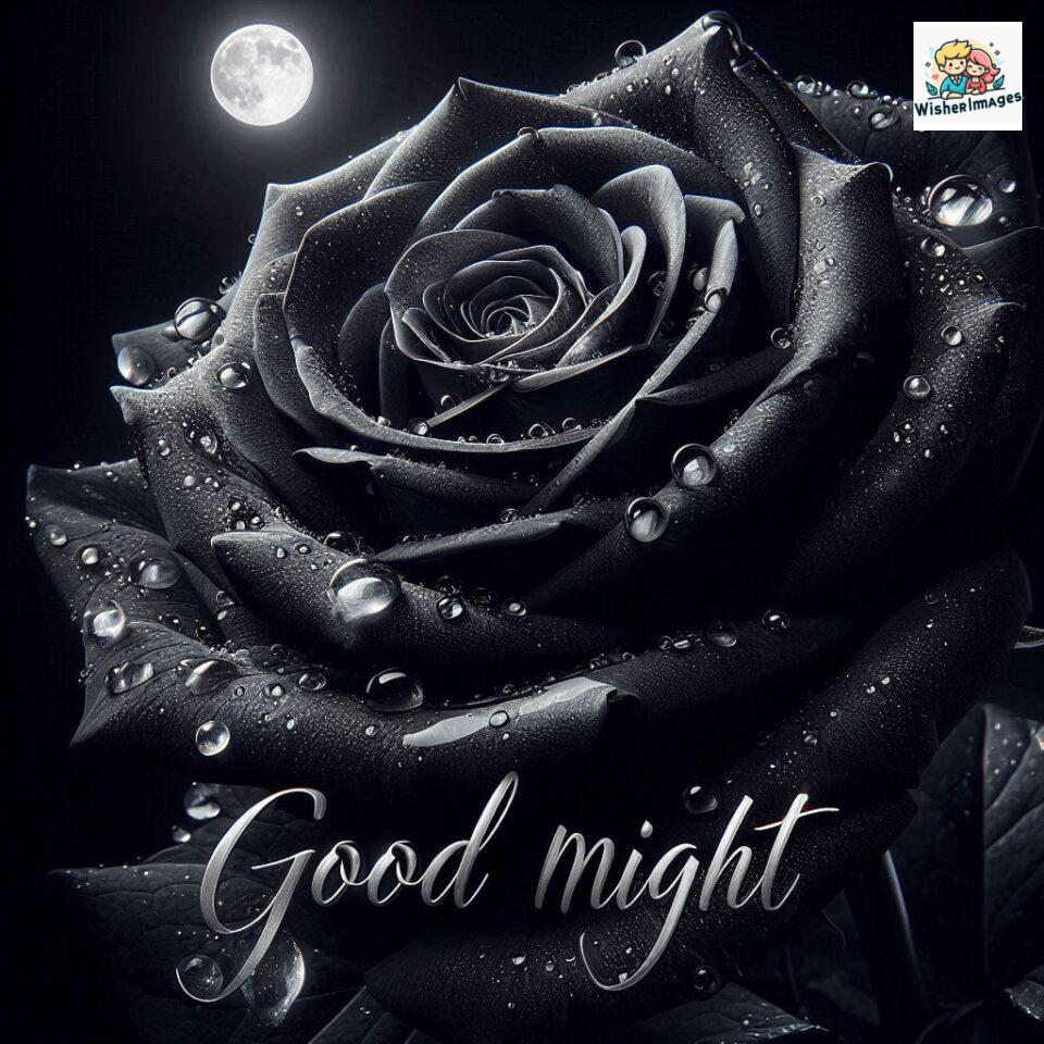 90+ Rose Good Night Images HD- Free Download 7 good night rose flower images rose good night images hd ()