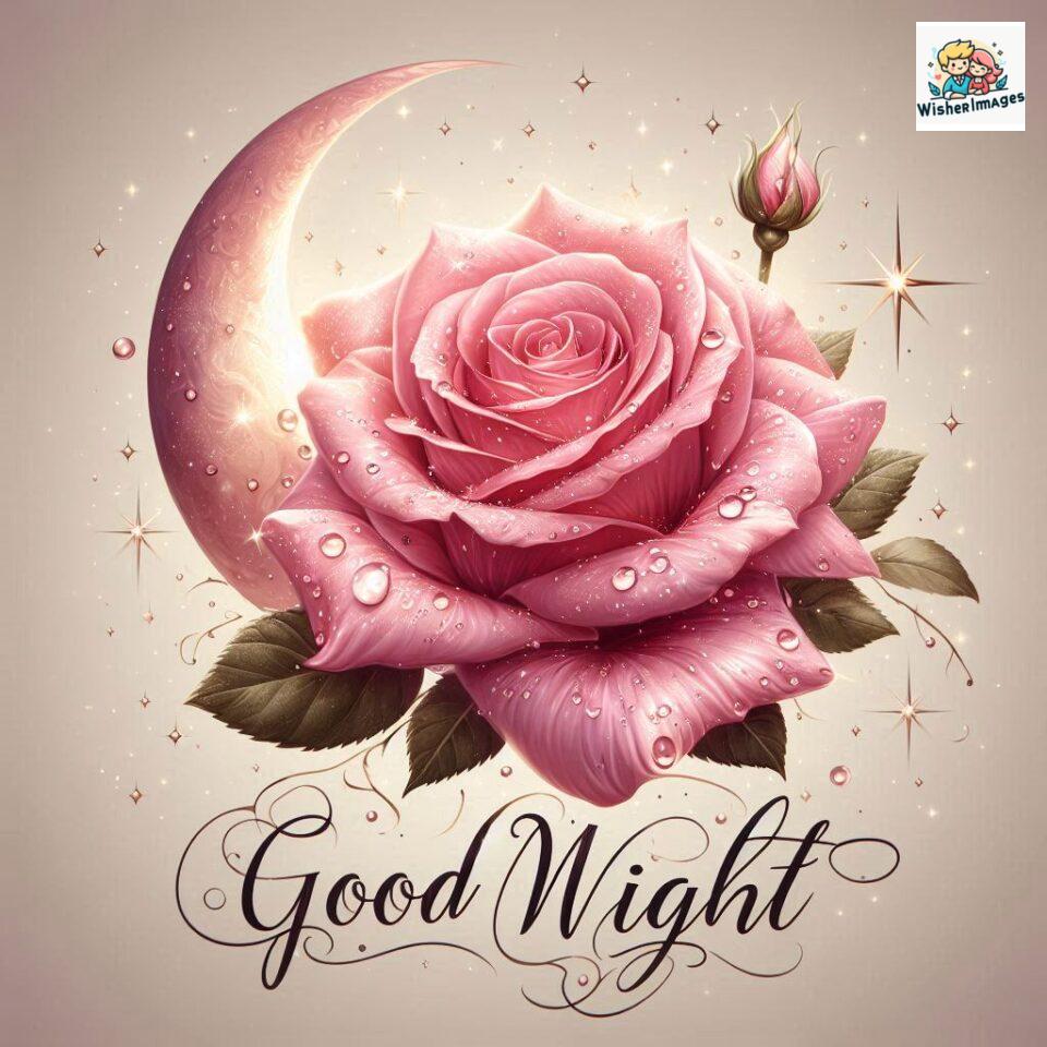 90+ Rose Good Night Images HD- Free Download 24 good night rose flower images rose good night images hd ()