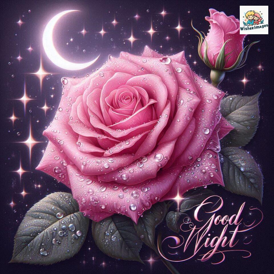 90+ Rose Good Night Images HD- Free Download 22 good night rose flower images rose good night images hd ()