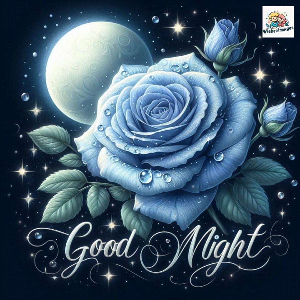 90+ Rose Good Night Images HD- Free Download 19 good night rose flower images rose good night images hd ()