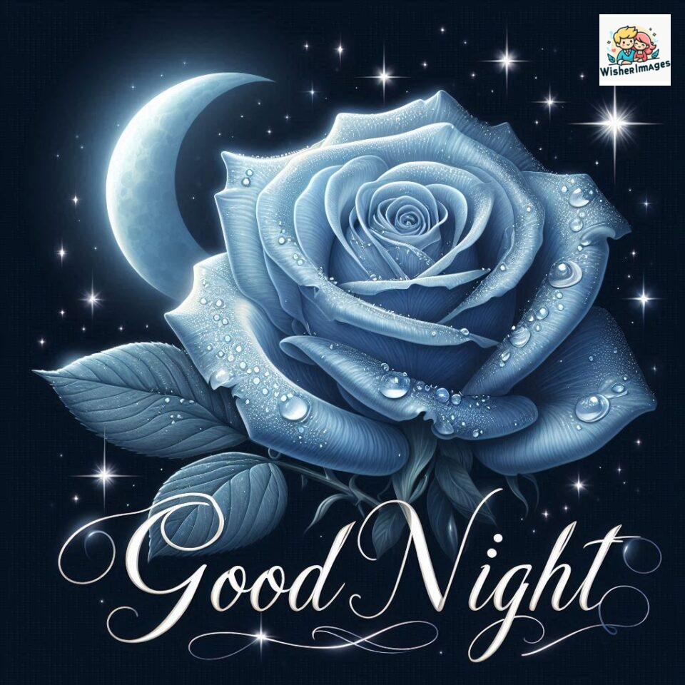 90+ Rose Good Night Images HD- Free Download 14 good night rose flower images rose good night images hd ()