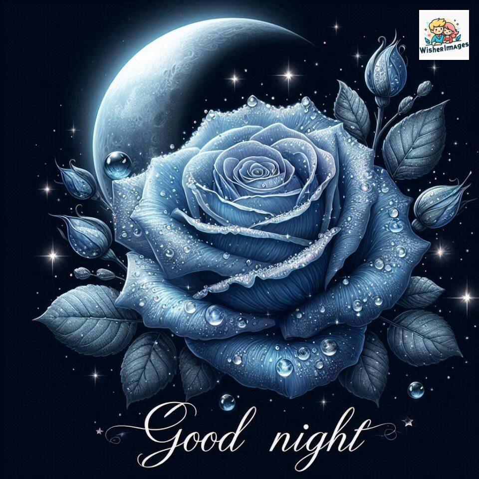 90+ Rose Good Night Images HD- Free Download 12 good night rose flower images rose good night images hd ()
