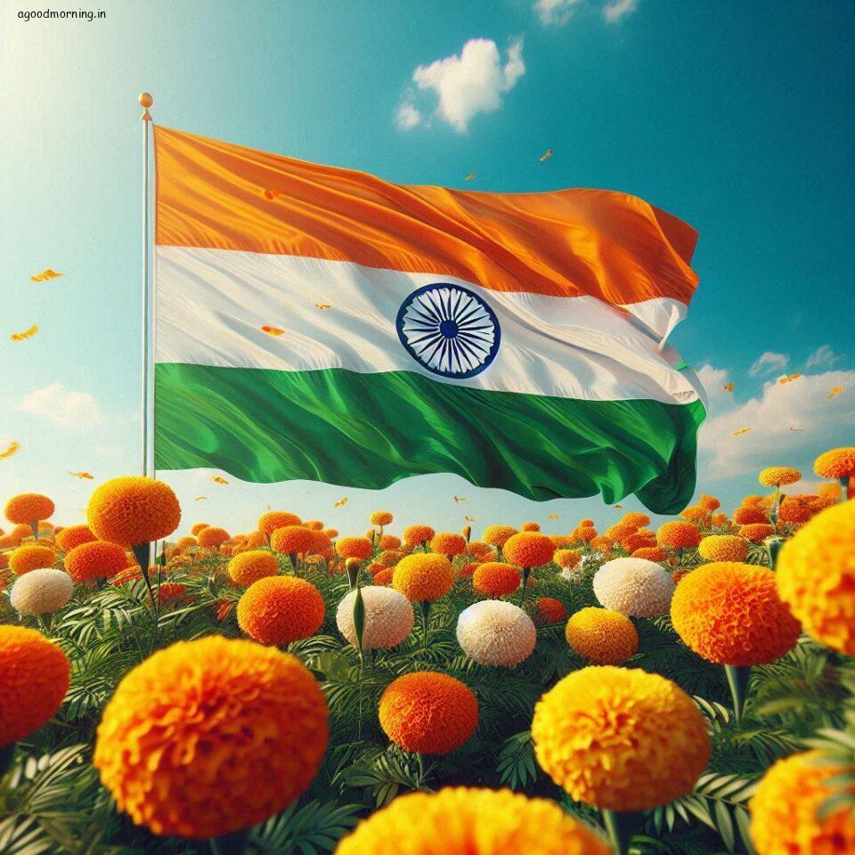85 Happy Independence Day Poster HD 43 happy independence day poster hd independence day theme images ()