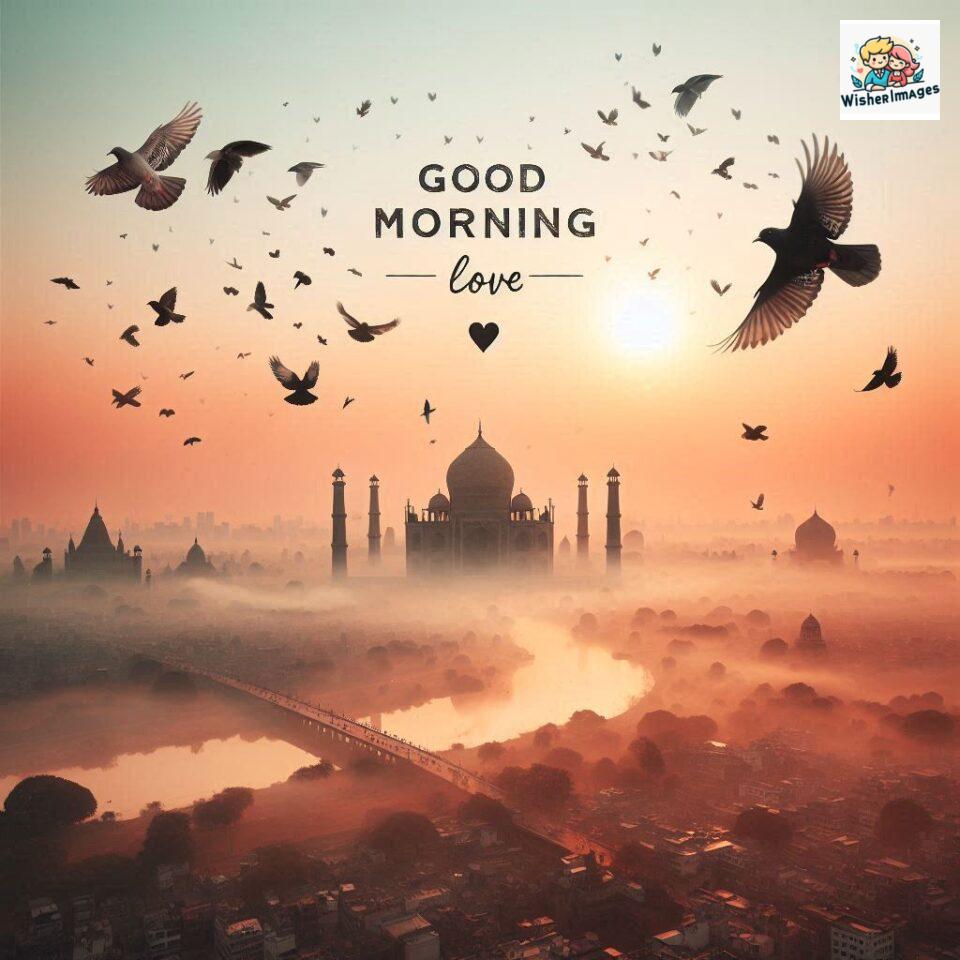 100+ Good Morning Beautiful Birds HD Images Free Download 84 good morning beautiful birds hd images good morning beautiful birds hd images ()