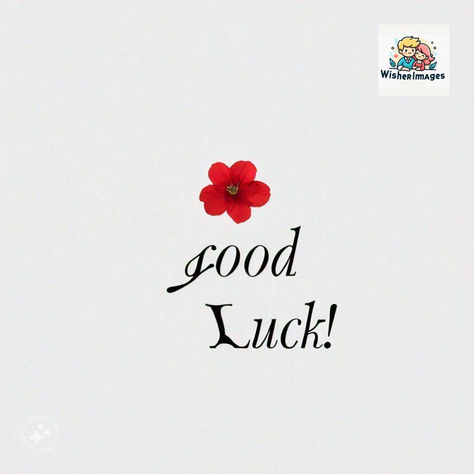 good-luck-images-free-download-images-of-good-luck-symbols_4-960x960 150+ Good Luck Images Free Download